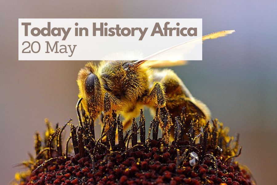 Today in History Africa 20 May