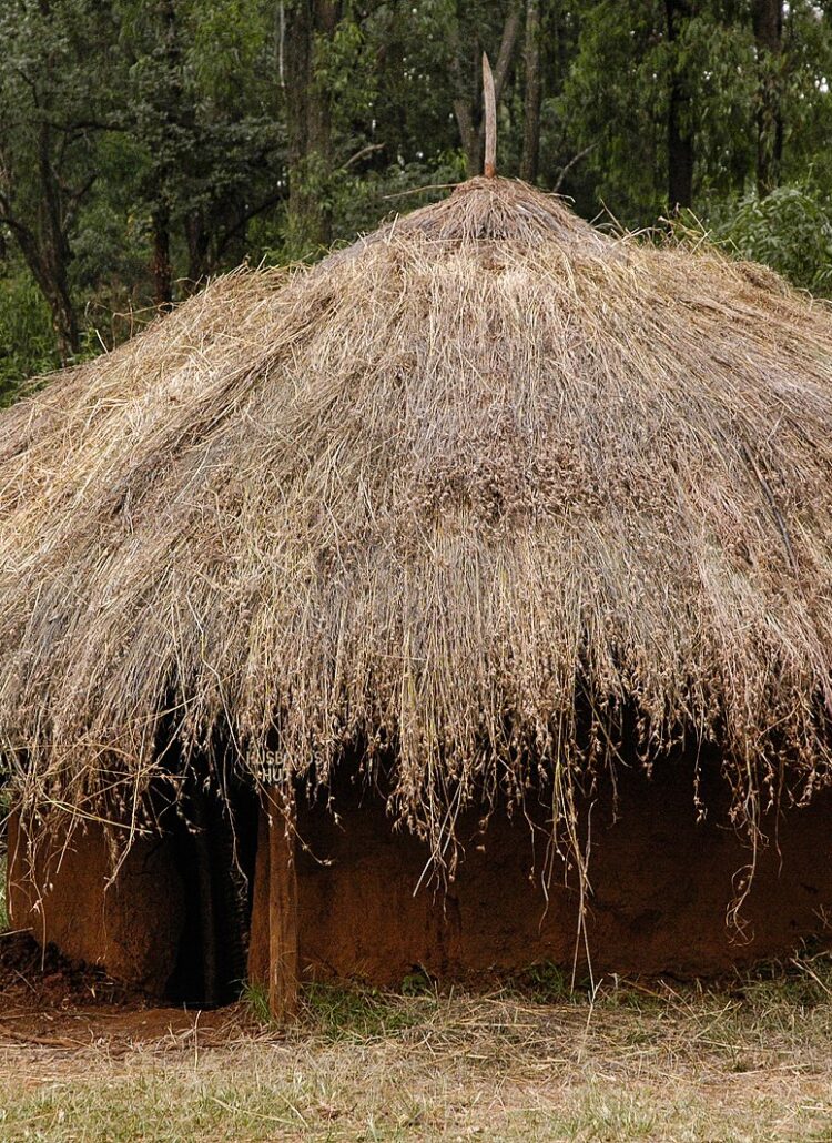 traditional african house designs